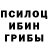 Псилоцибиновые грибы прущие грибы Yopta Jump