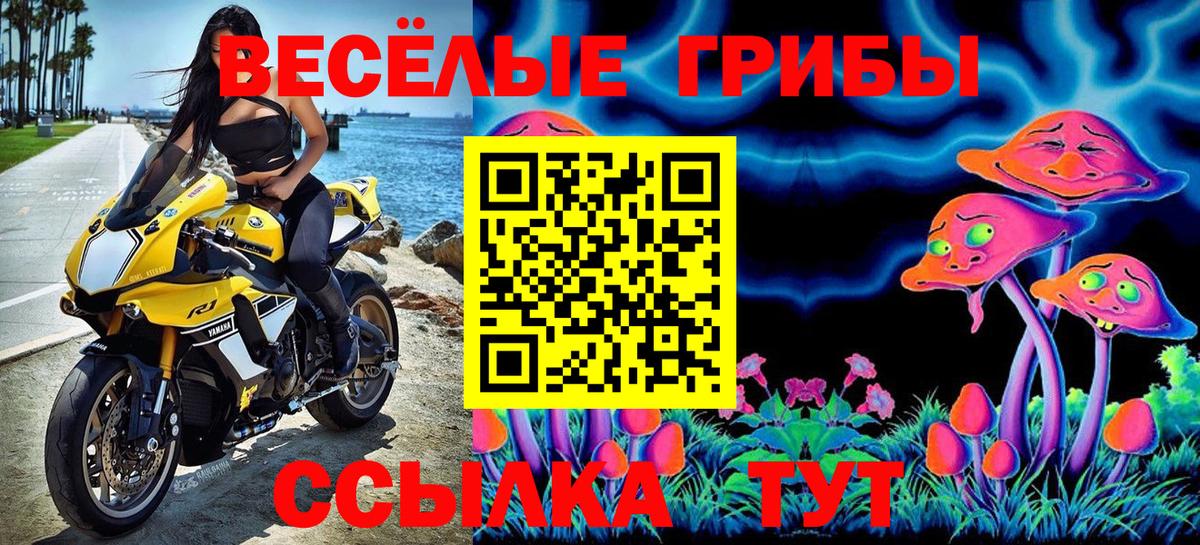 Салават  наркошоп  Вход с VPN  Псилоцибиновые грибы Psilocybe  Галлюциногенные грибы Magic Shrooms 